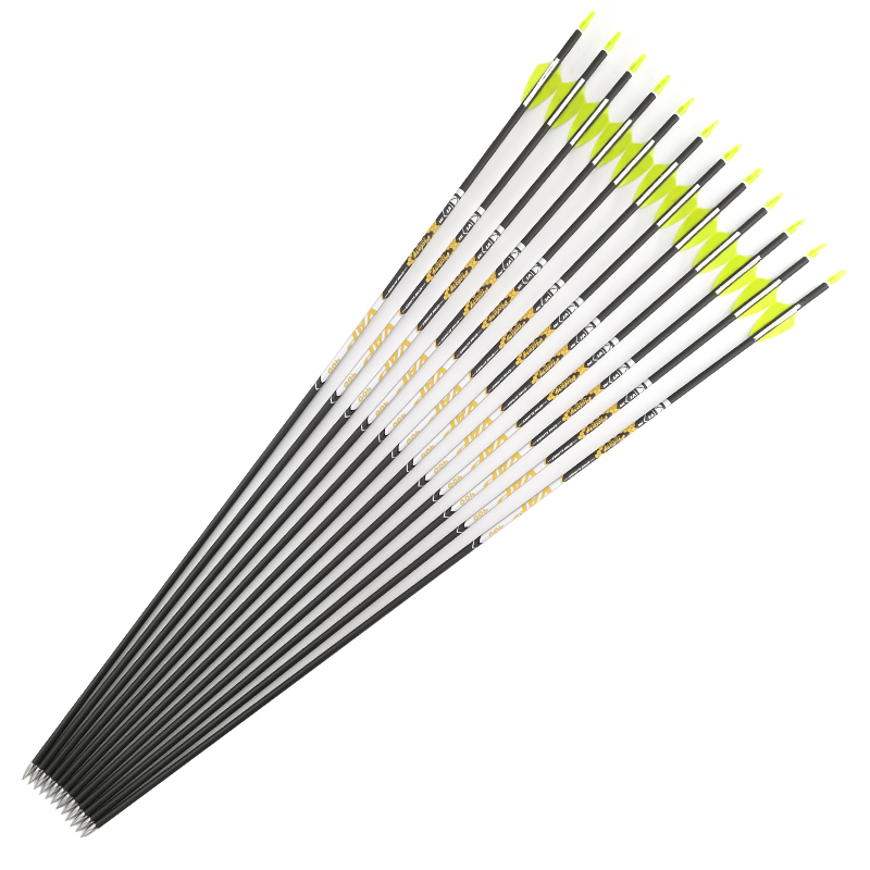 Boogschieten Wervelkolom 350 4 - Hunting Bow Compound recensie en prijs