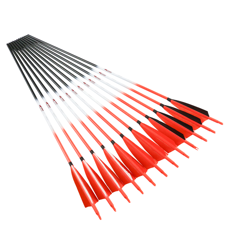 Linkboy Boogschieten Carbon Pi - Hunting Bow Compound recensie en prijs
