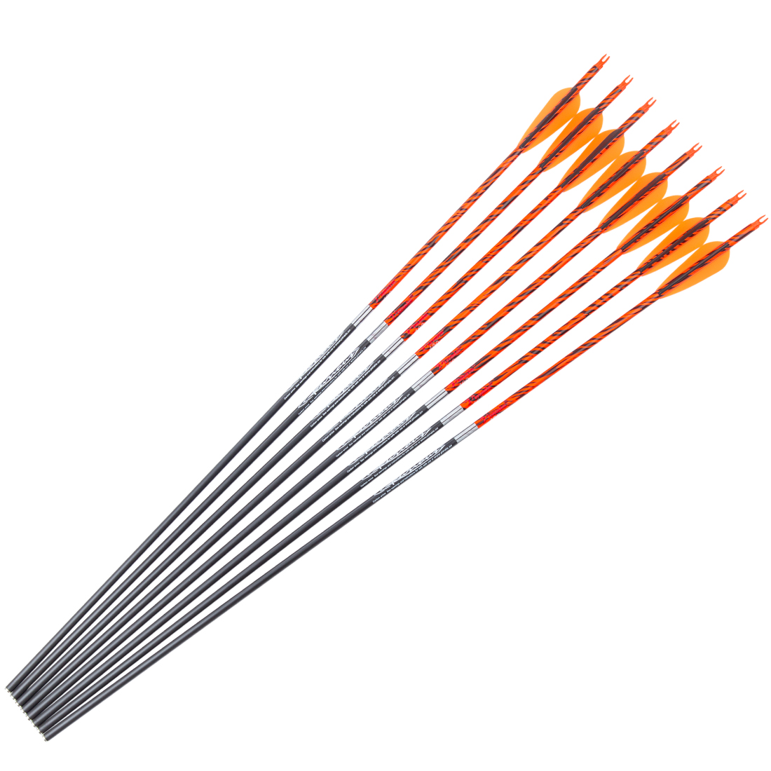 Boogschieten Pure Carbon Pijle - Hunting Bow Compound recensie en prijs