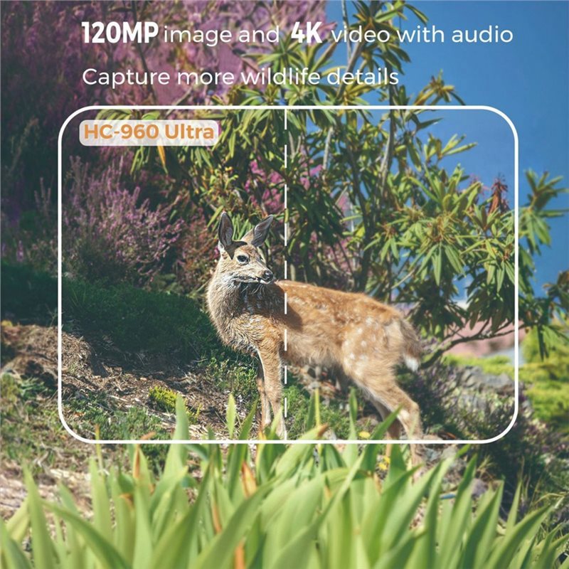 A99E-Outdoor 4G 120MP 4K Live  - Hunting And Outdoor Shows recensie en prijs