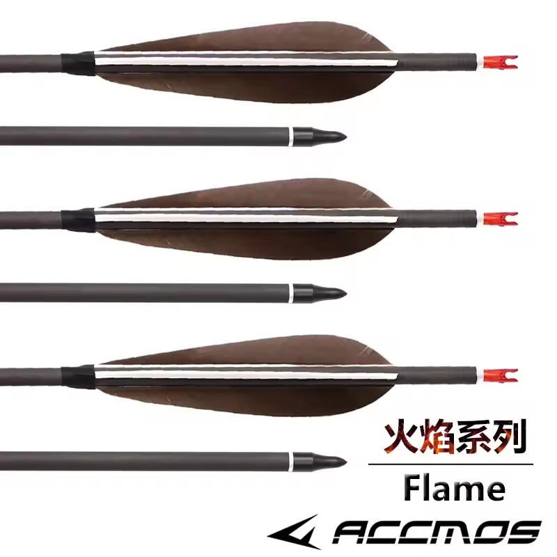 ACCMOS 33 inch Pure Carbon Pij - Hunting Bow Compound recensie en prijs