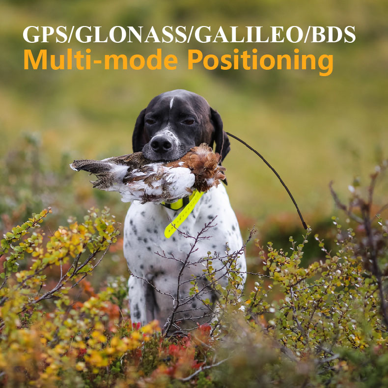 Globale GPS-hondenzoeker met r - Outdoor Hunting Dog Supply recensie en prijs